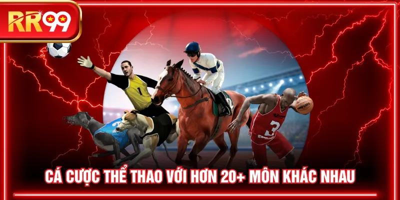 Cá cược thể thao với hơn 20+ môn khác nhau