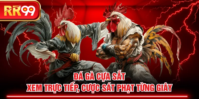 Đá Gà Cựa Sắt