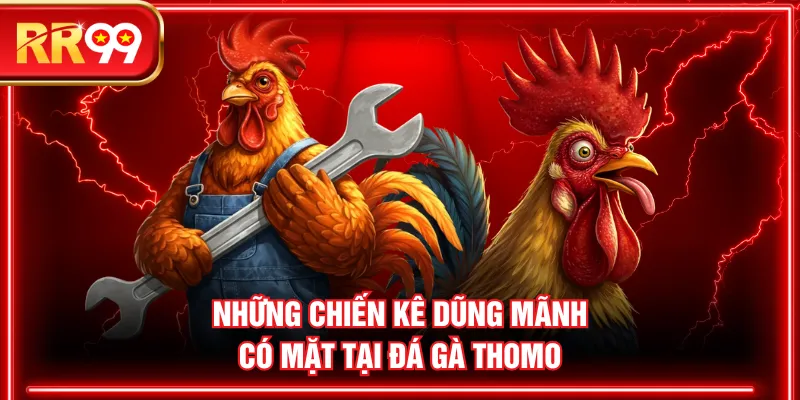Những chiến kê dũng mãnh có mặt tại đá gà Thomo